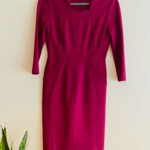 Antonio Melani fuchsia dress